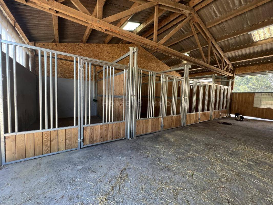 Equestrian property  Haute-Savoie