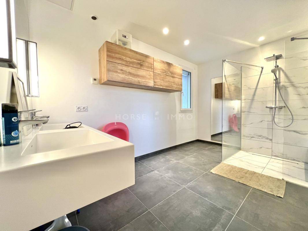 Equestrian property  Haute-Savoie