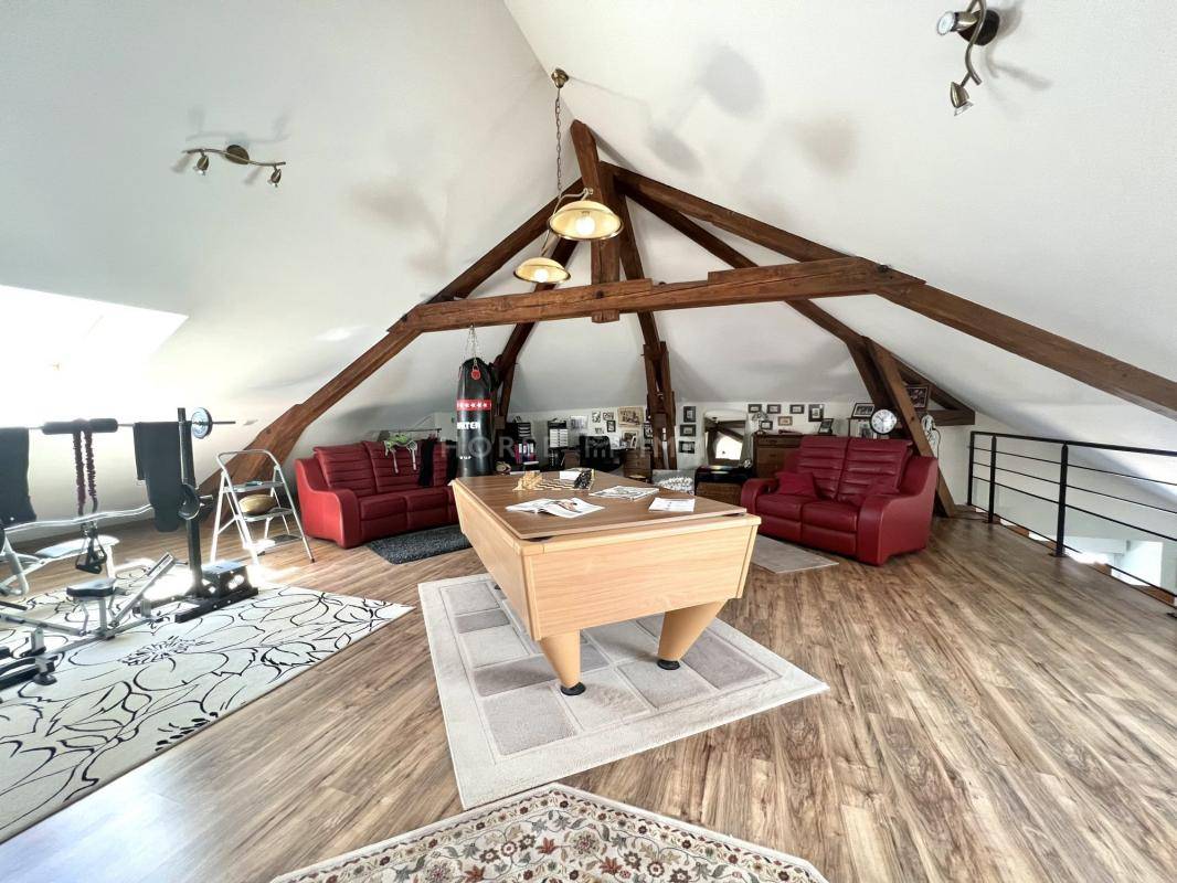 Equestrian property  Haute-Savoie