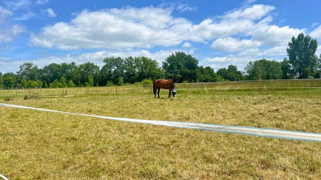 Riding school  Lot-et-Garonne