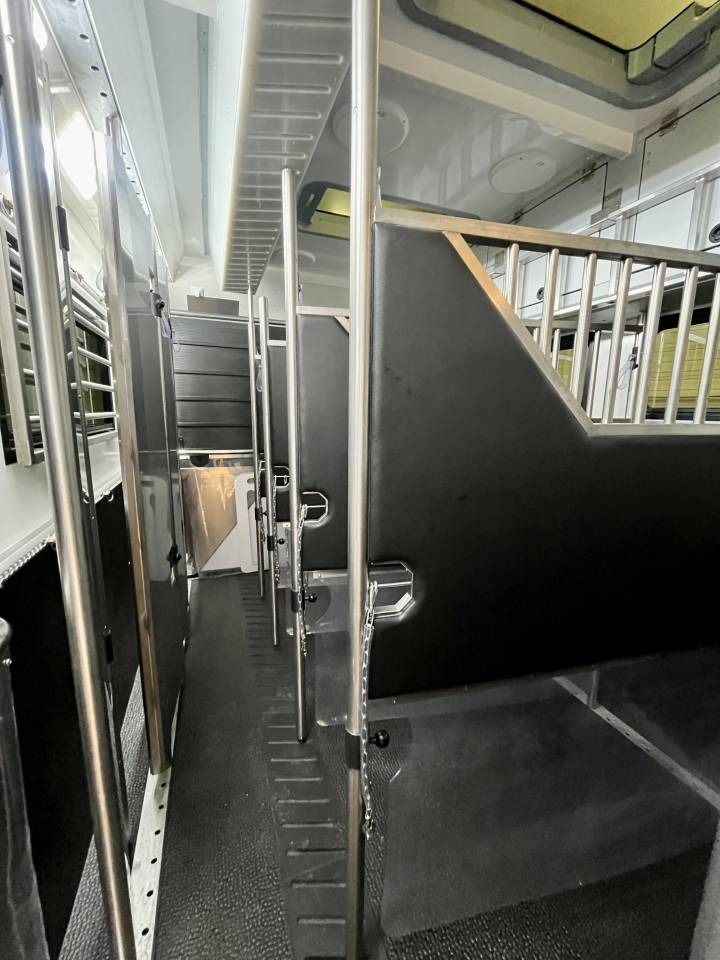 Horsebox NON-HGV STX SCANIA S500 2023 New