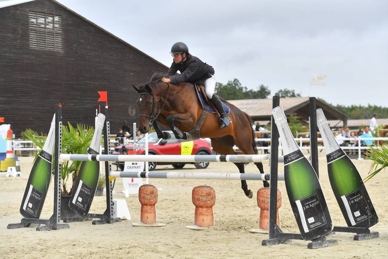 Mare AQPS For sale 2018 Bay