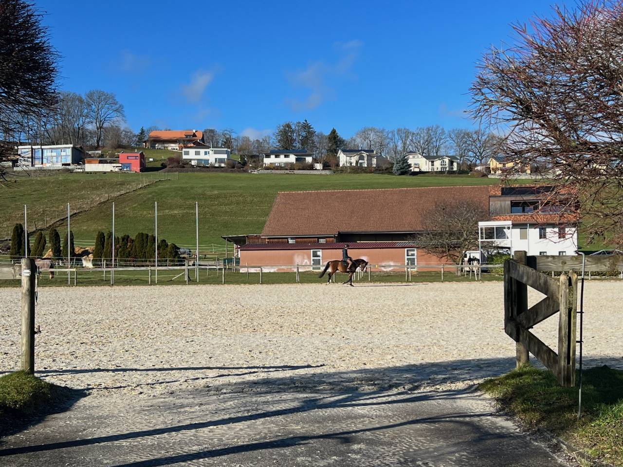 Riding school  Fribourg