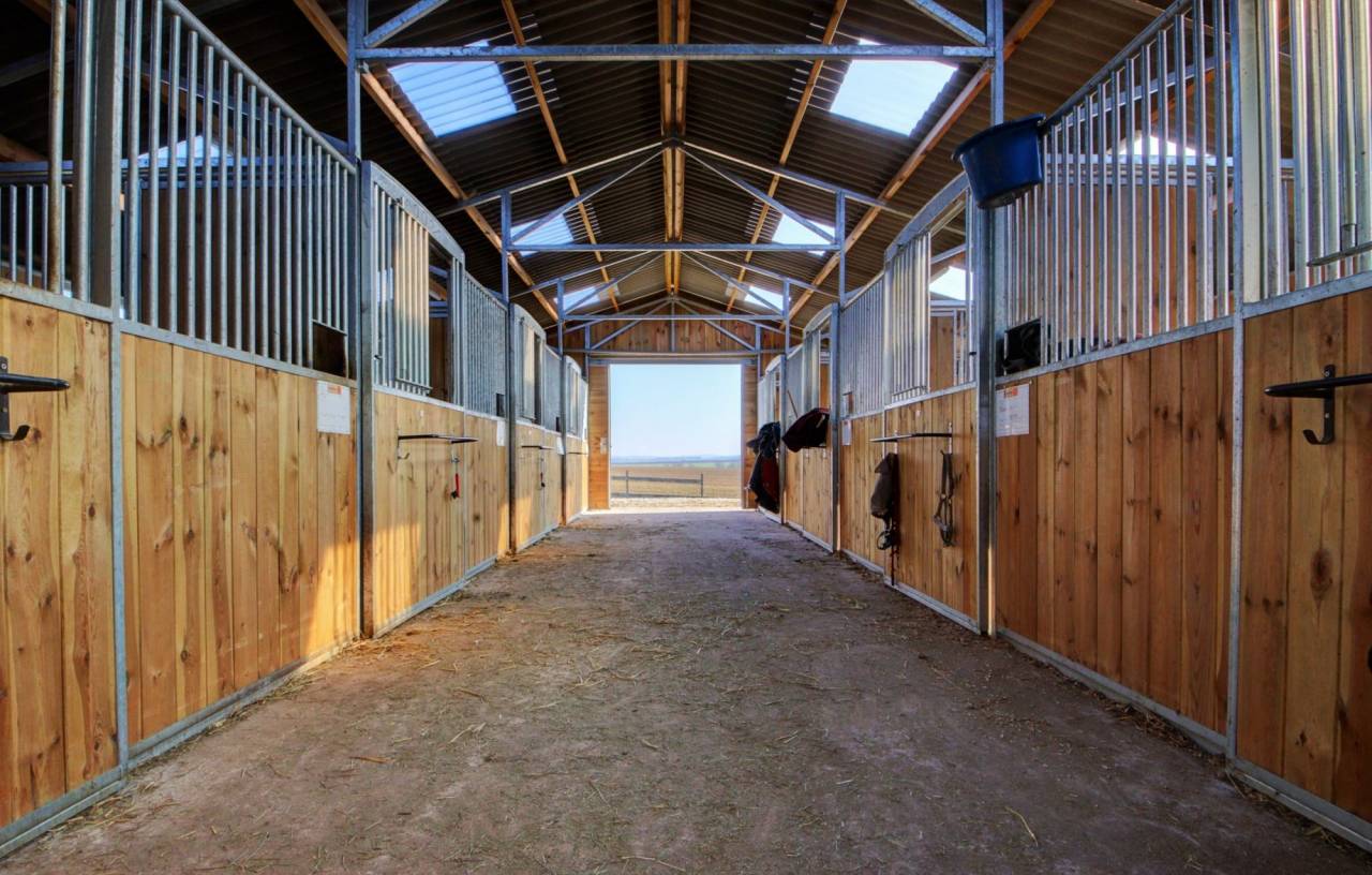 Equestrian property  Meurthe-et-Moselle