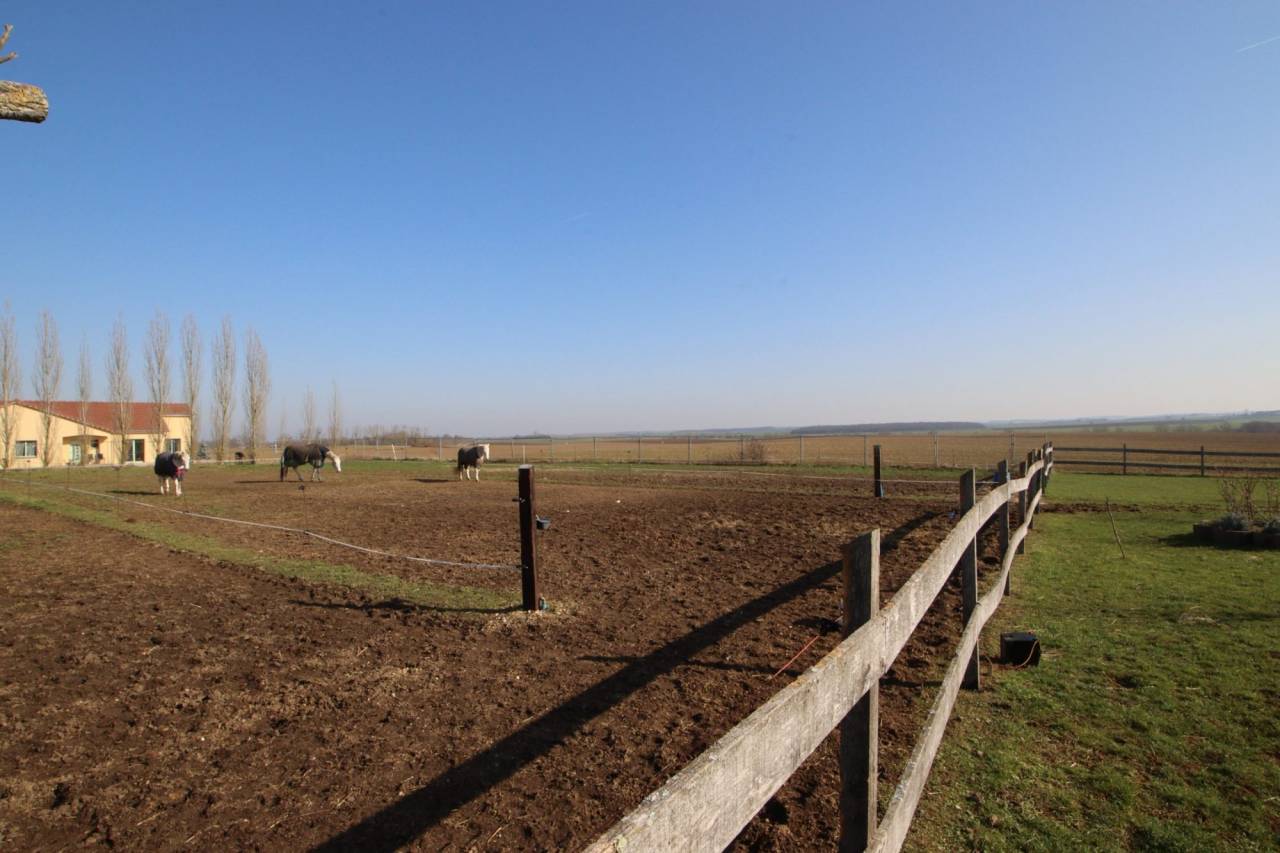 Equestrian property  Meurthe-et-Moselle