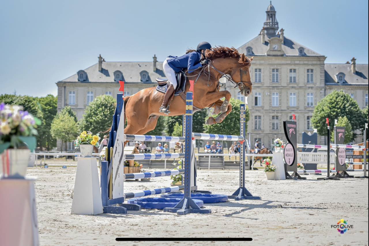 Intrepide Colmont Z - Zangersheide 2015