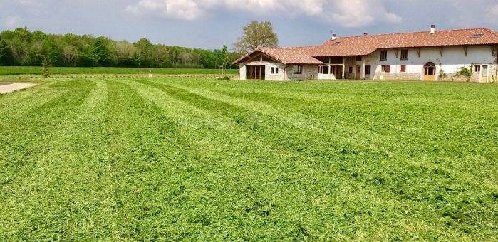 Equestrian property  Ain