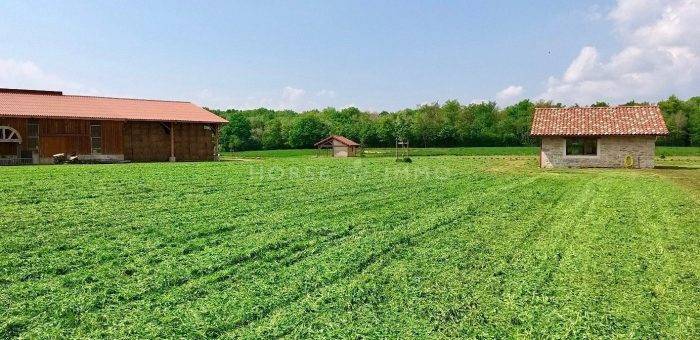 Equestrian property  Ain