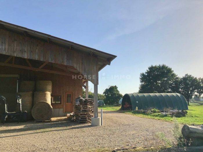 Equestrian property  Ain