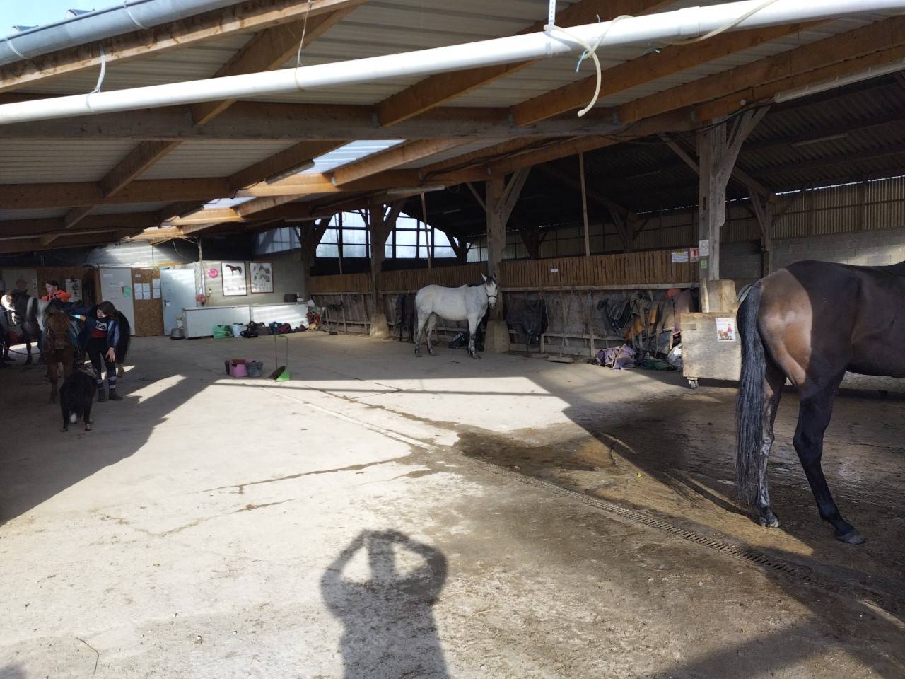 Equestrian property  Manche