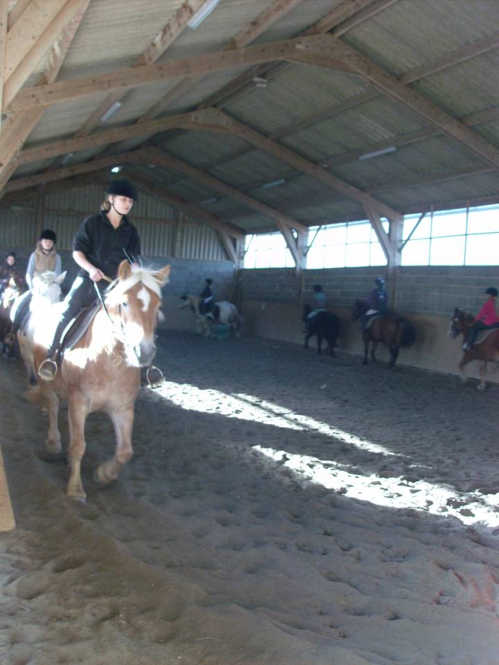 Equestrian property  Manche