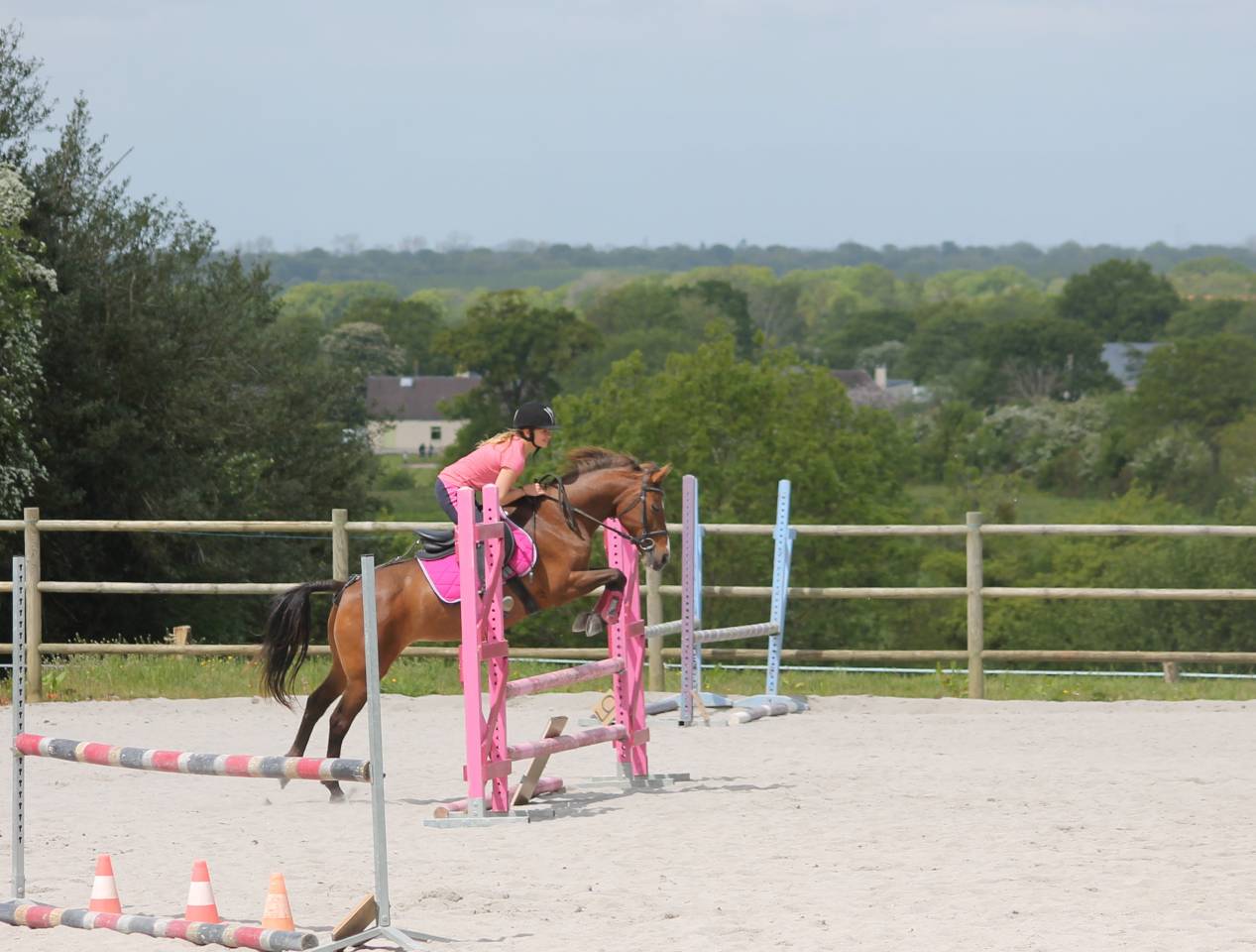 Equestrian property  Manche