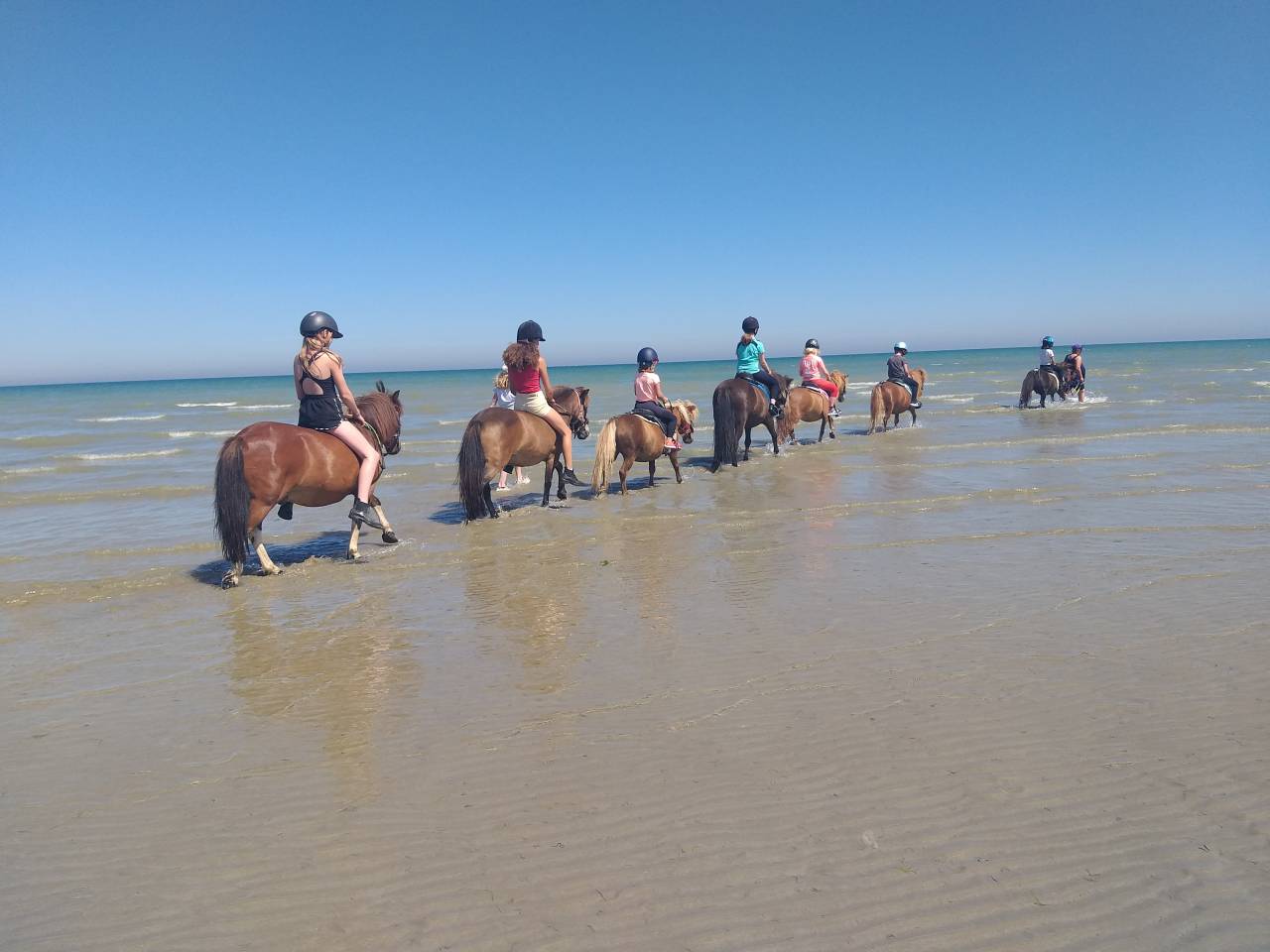 Equestrian property  Manche