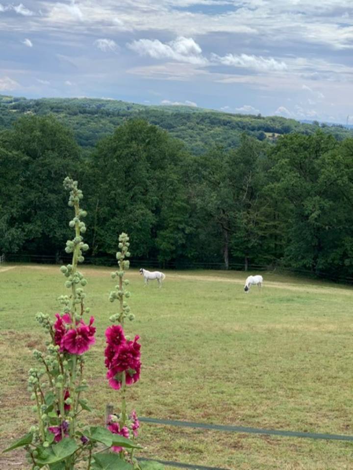 Luxurious equestrian property  Lot