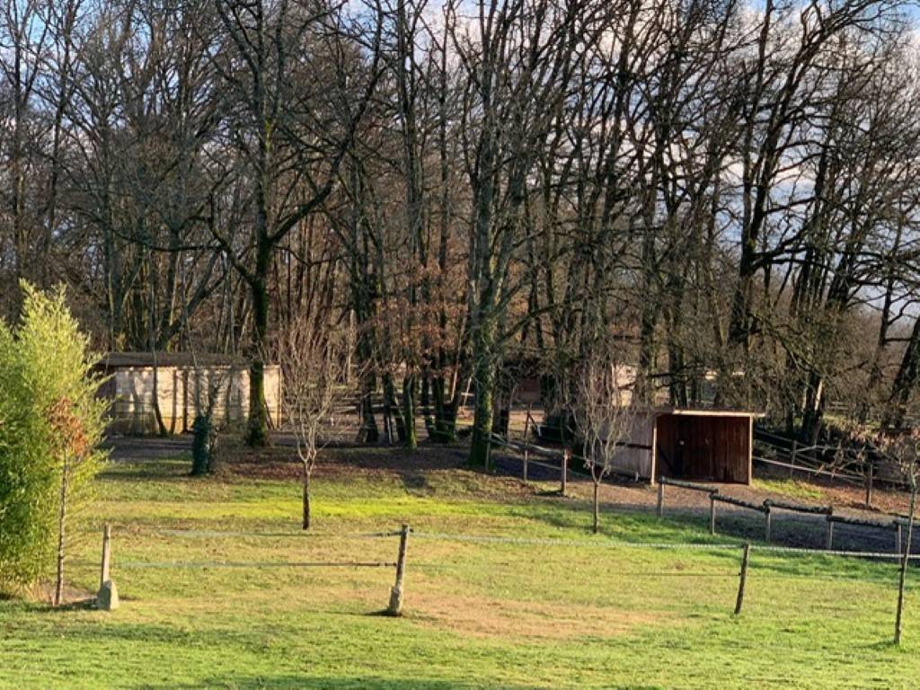 Luxurious equestrian property  Lot