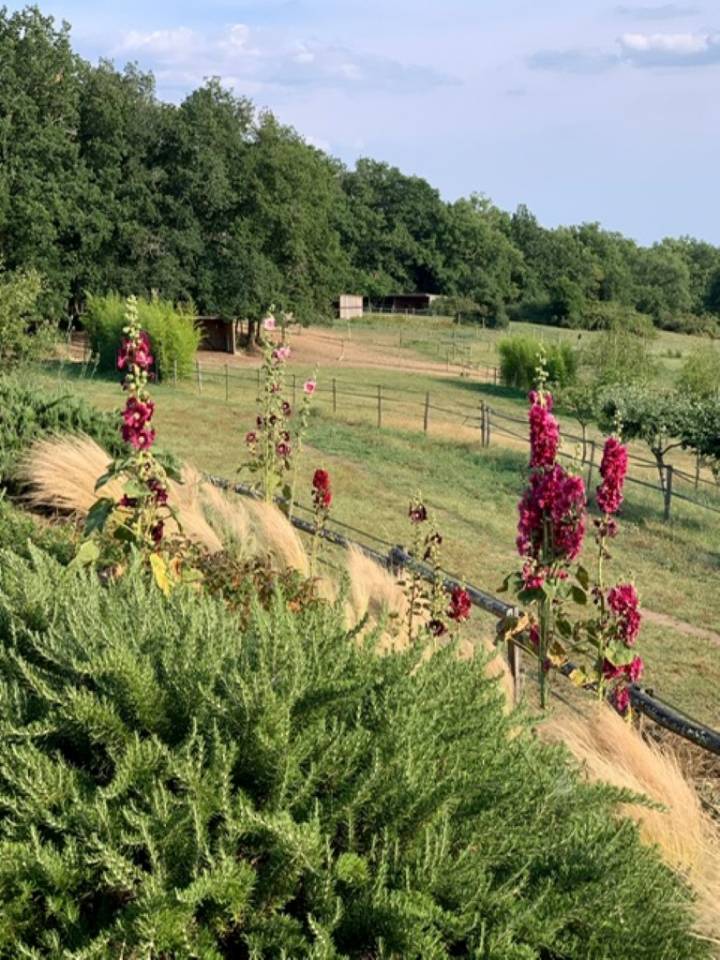 Luxurious equestrian property  Lot