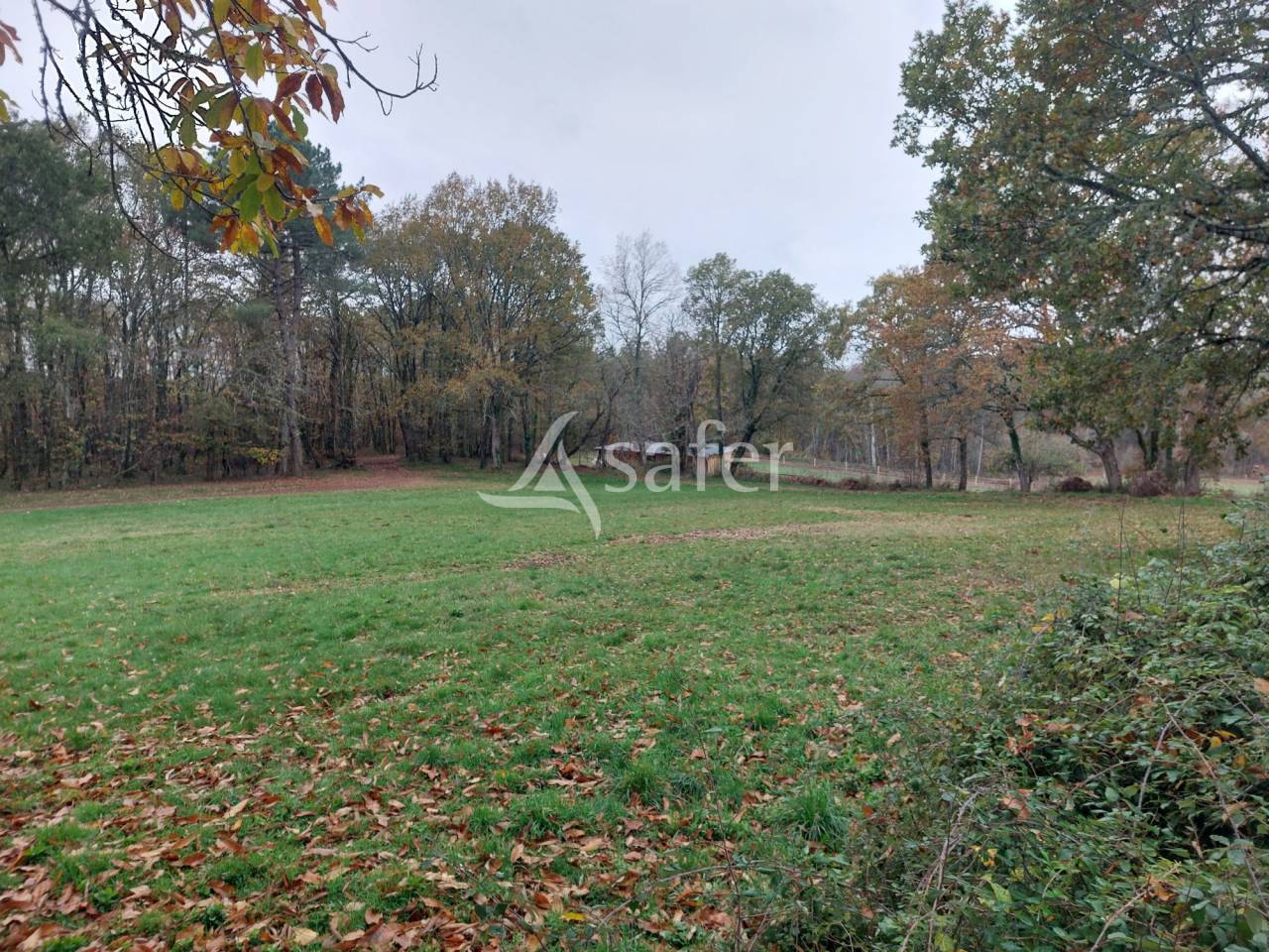Vegetable farm  Dordogne