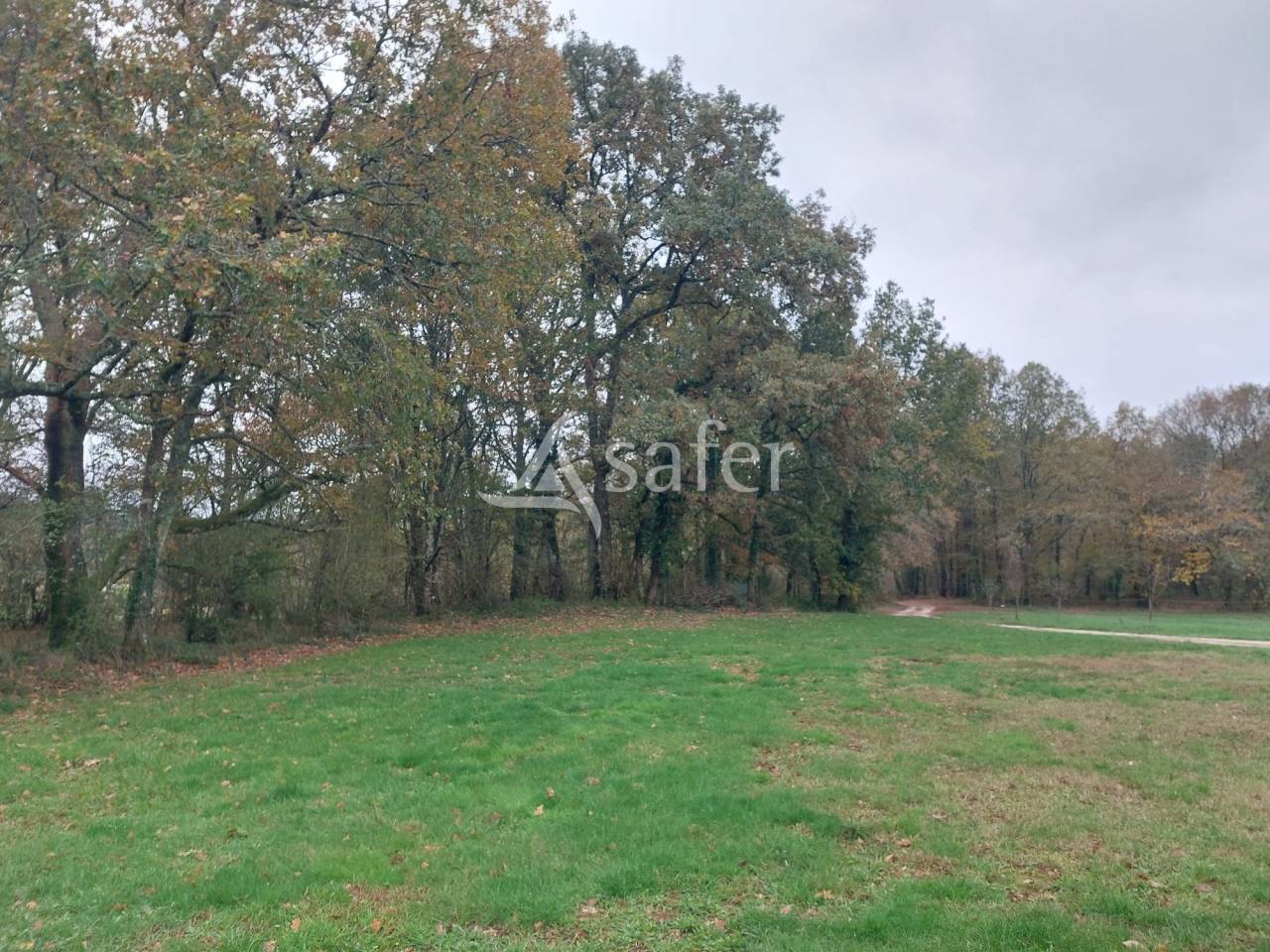 Vegetable farm  Dordogne
