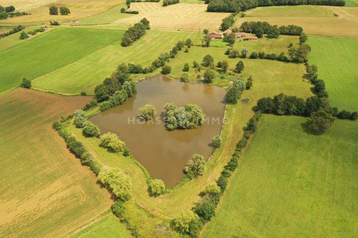 Equestrian property  Ain