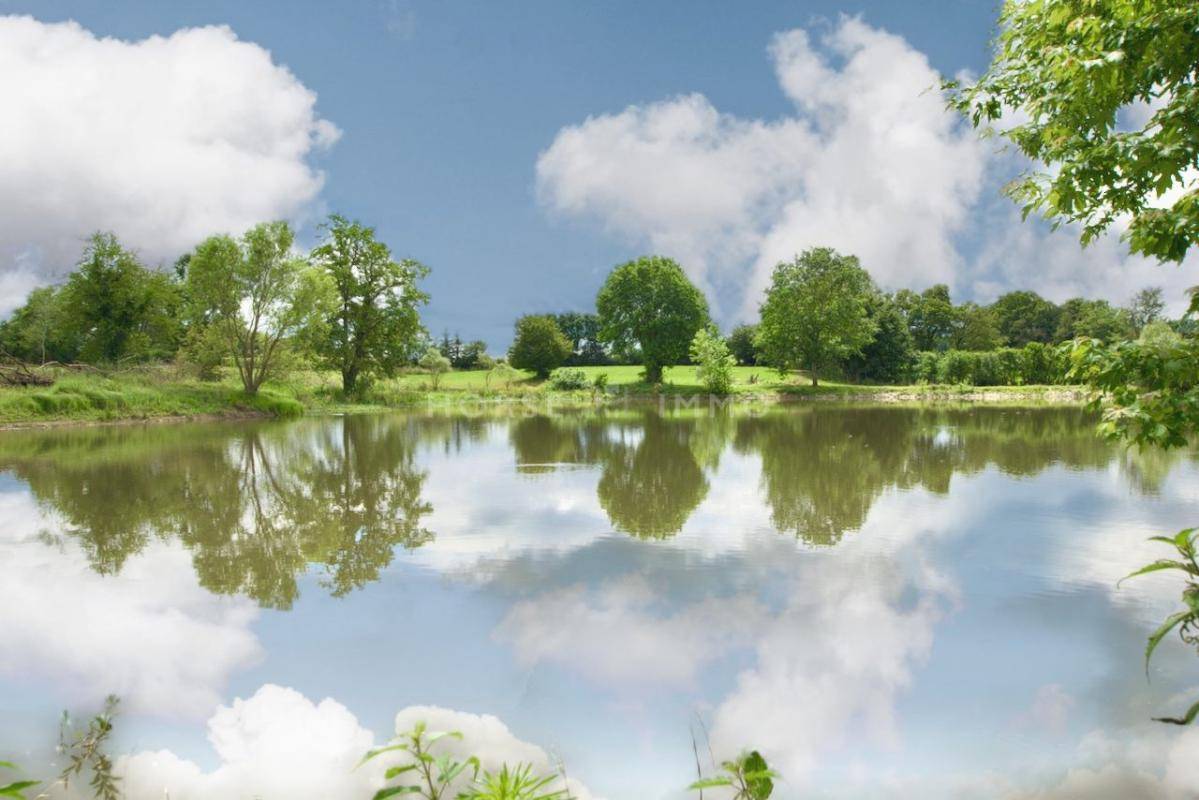 Equestrian property  Ain