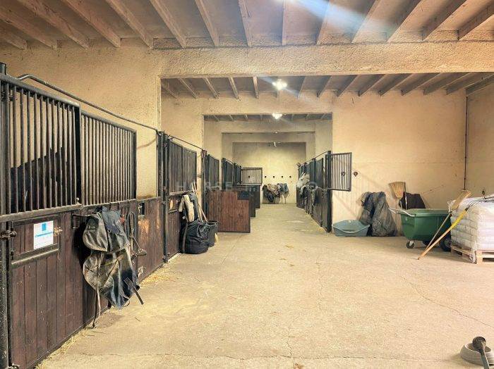 Equestrian property  Seine-et-Marne