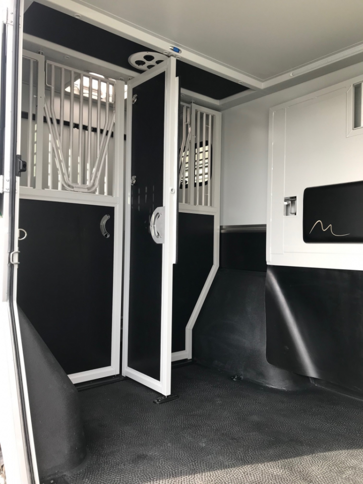 Horsebox HGV Renault Master 2019 Used