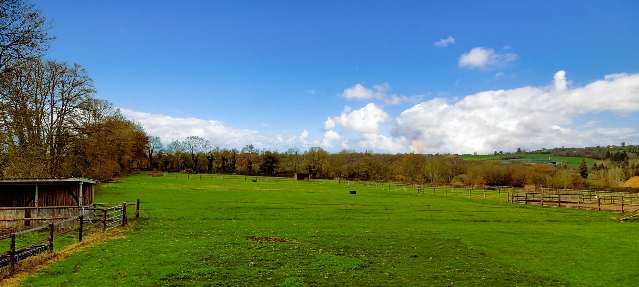 Luxurious equestrian property  Orne