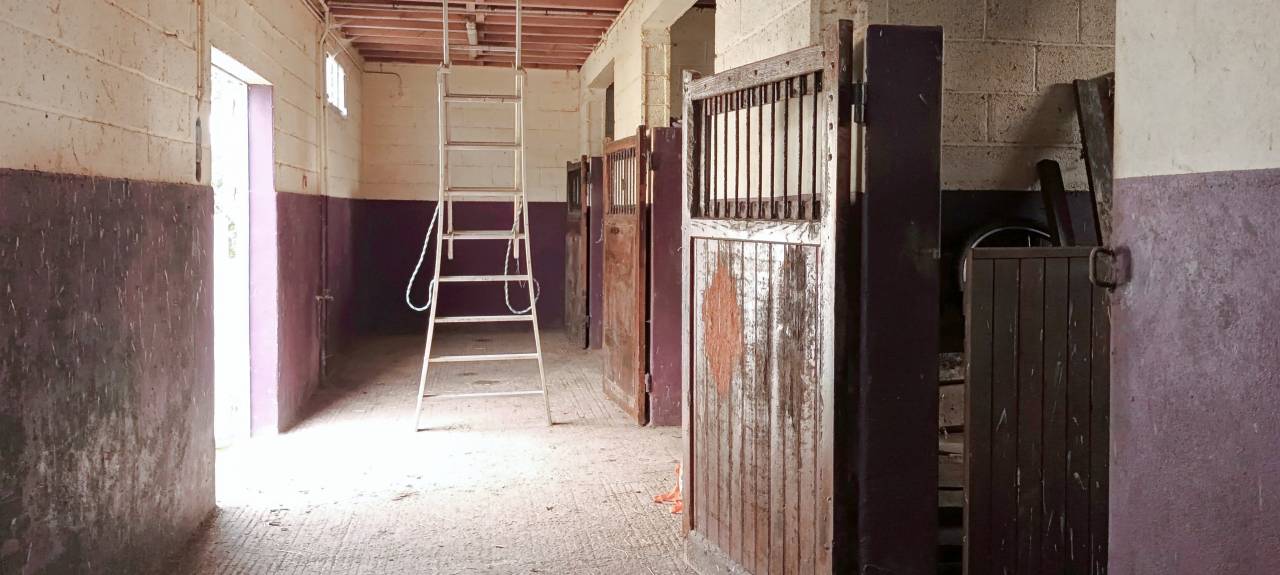 Luxurious equestrian property  Orne