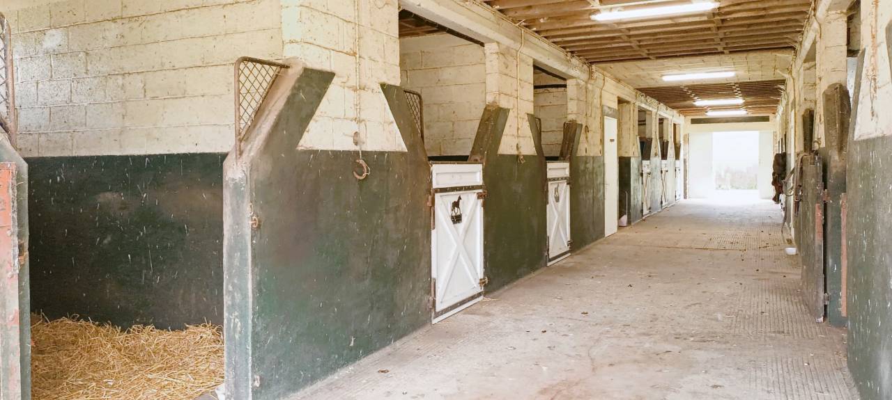 Luxurious equestrian property  Orne