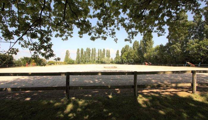 Stud farm  Seine-et-Marne