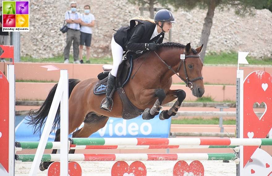 Entire New Forest For loan 2014 Bay