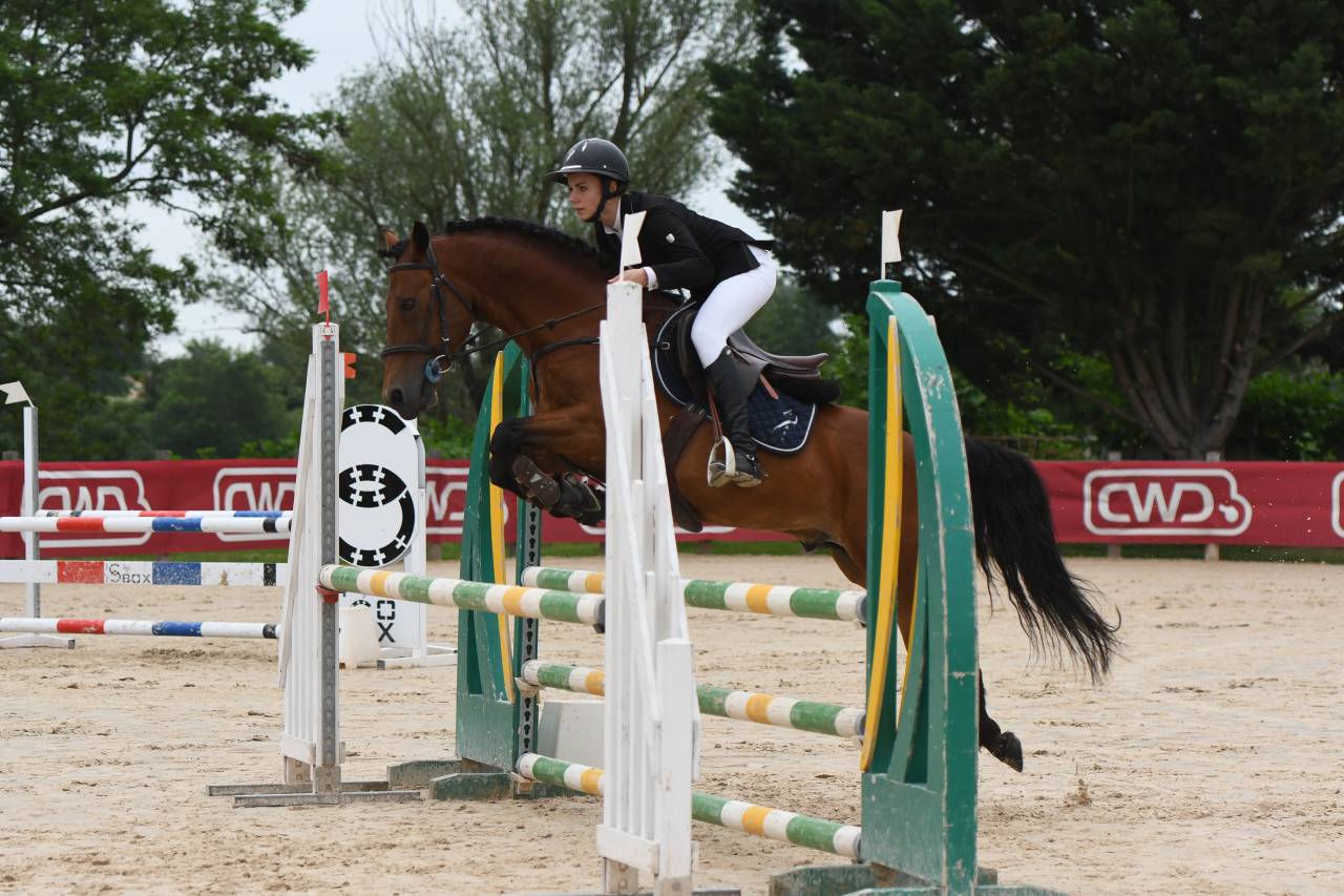 Entire New Forest For loan 2014 Bay