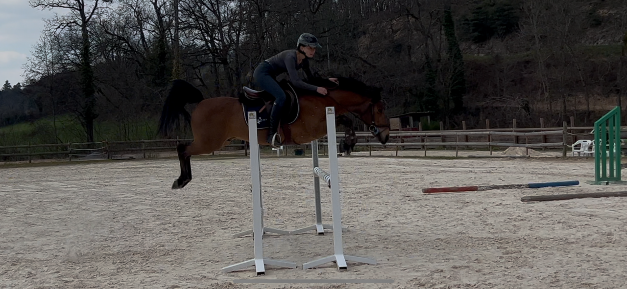 Entire New Forest For loan 2014 Bay