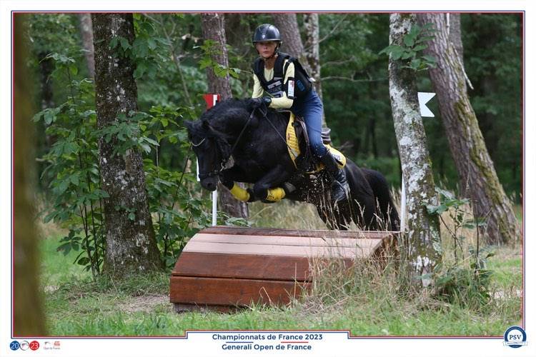 Green Bell Pepper d'Ash - Dartmoor 2016 by moortown storm