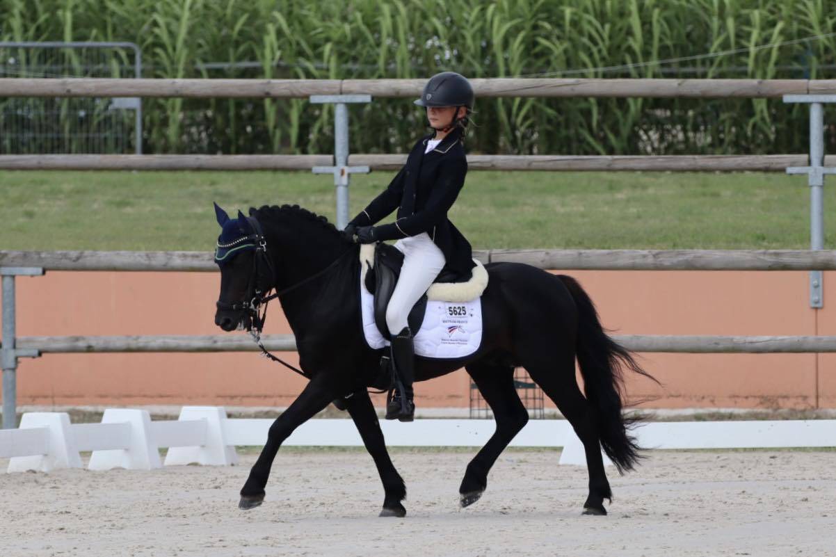 Green Bell Pepper d'Ash - Dartmoor 2016 by moortown storm