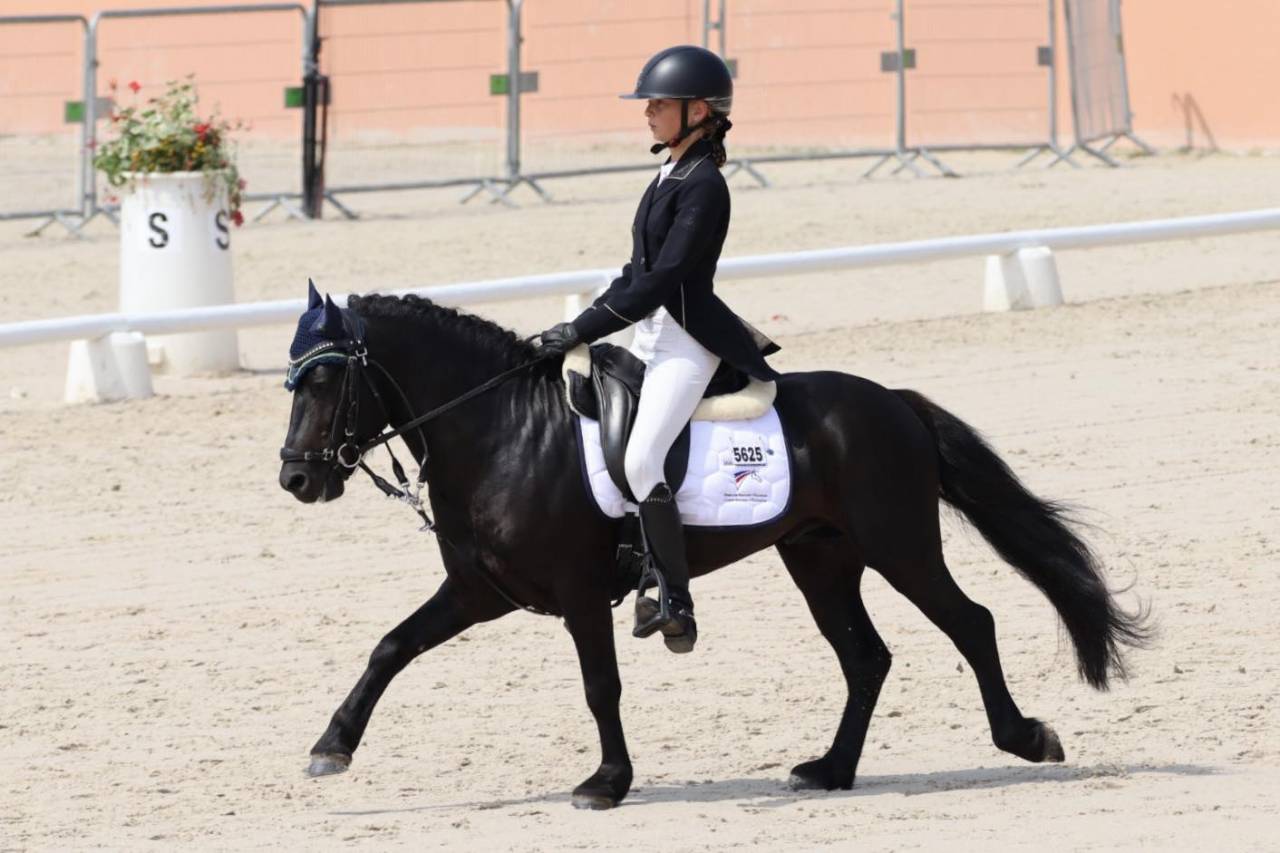 Green Bell Pepper d'Ash - Dartmoor 2016 by moortown storm