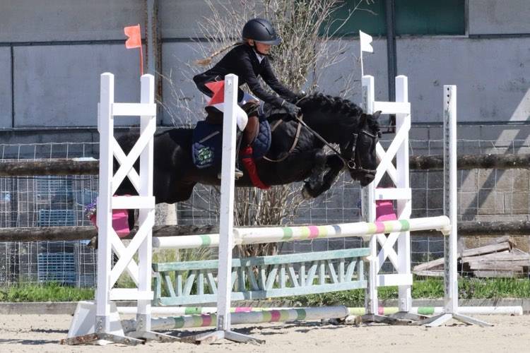 Green Bell Pepper d'Ash - Dartmoor 2016 by moortown storm