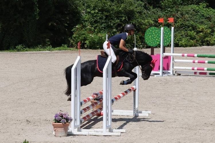 Green Bell Pepper d'Ash - Dartmoor 2016 by moortown storm