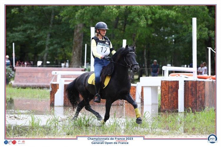 Green Bell Pepper d'Ash - Dartmoor 2016 by moortown storm