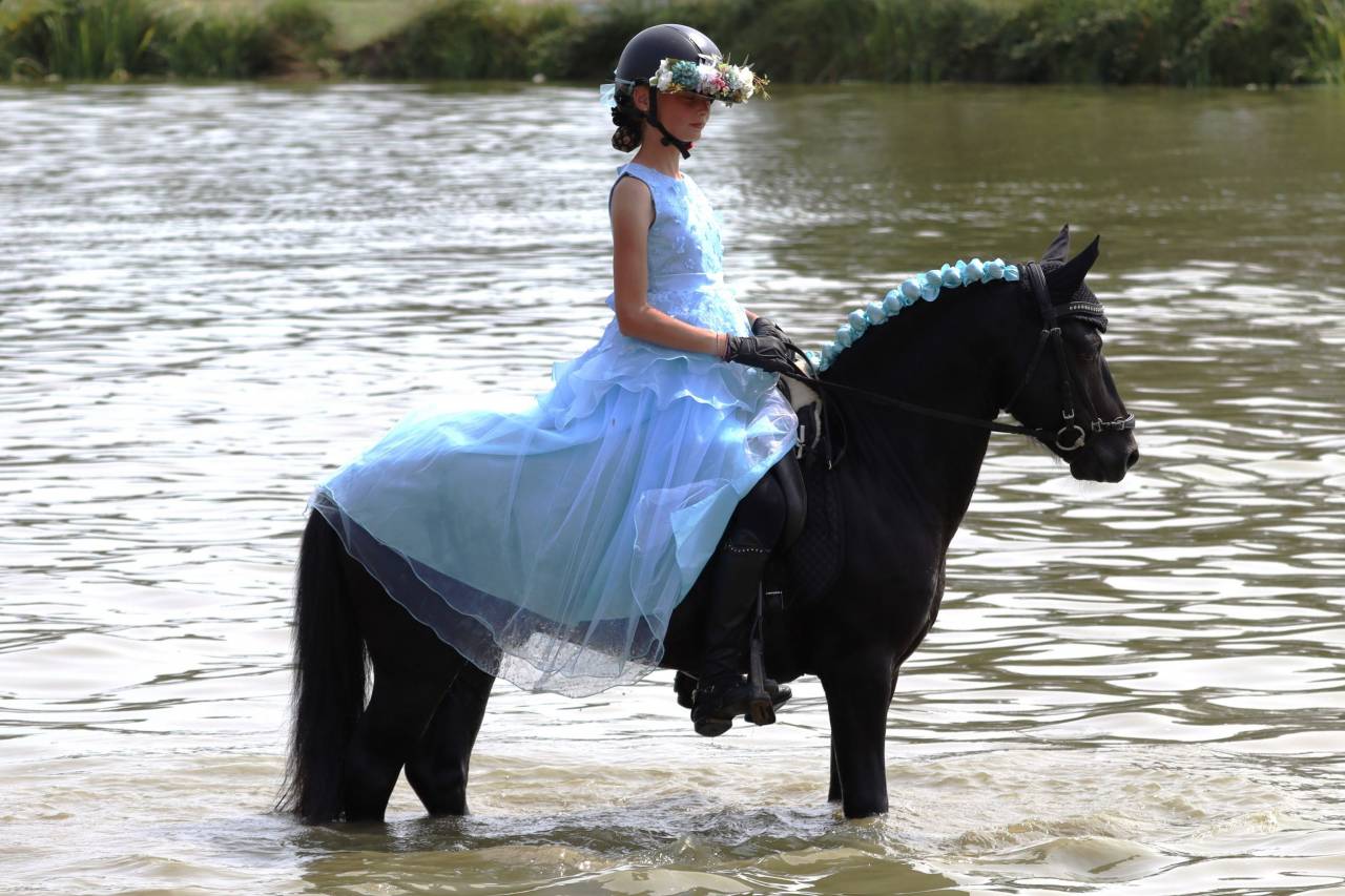 Green Bell Pepper d'Ash - Dartmoor 2016 by moortown storm
