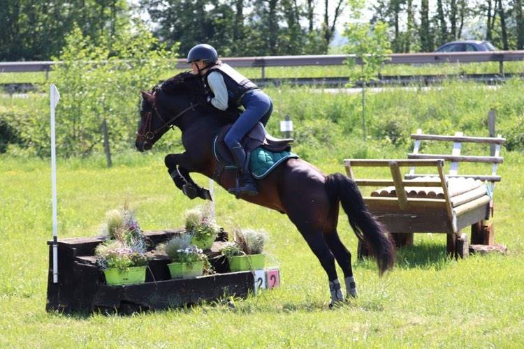Trewassick Warleggan - Dartmoor 2017 by SHILSTONE ROCKS WARLORD