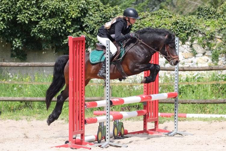 Trewassick Warleggan - Dartmoor 2017 by SHILSTONE ROCKS WARLORD