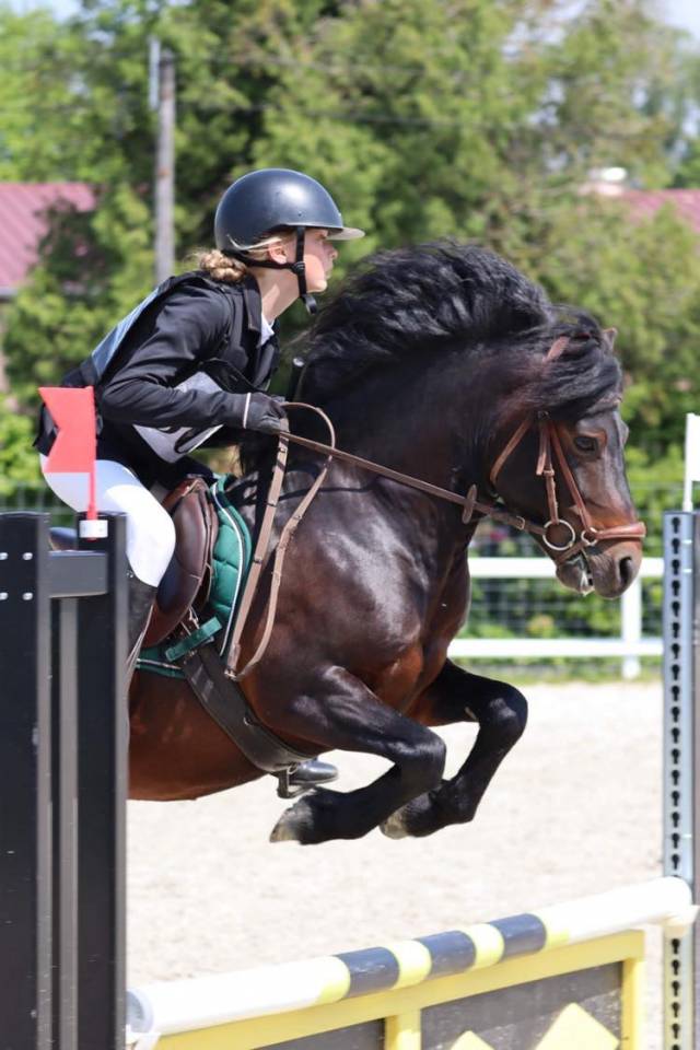 Trewassick Warleggan - Dartmoor 2017 by SHILSTONE ROCKS WARLORD