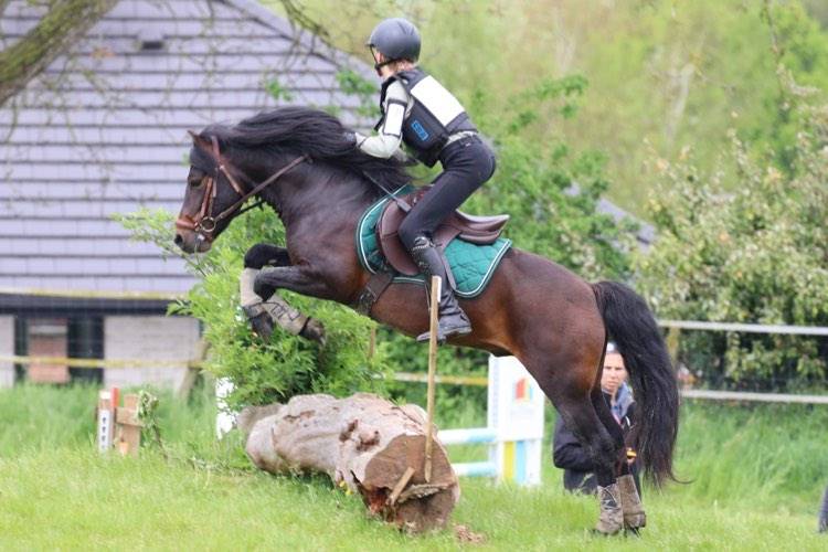 Trewassick Warleggan - Dartmoor 2017 by SHILSTONE ROCKS WARLORD