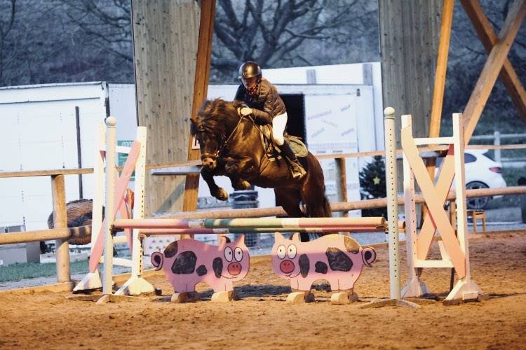 Trewassick Warleggan - Dartmoor 2017 by SHILSTONE ROCKS WARLORD