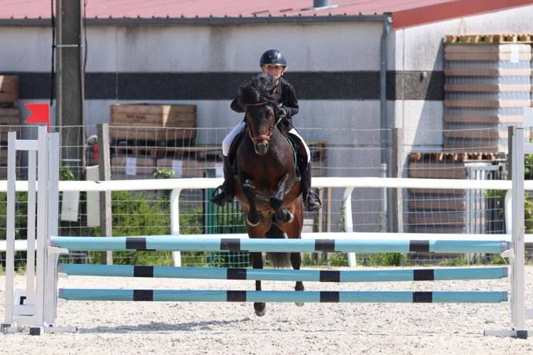 Trewassick Warleggan - Dartmoor 2017 by SHILSTONE ROCKS WARLORD