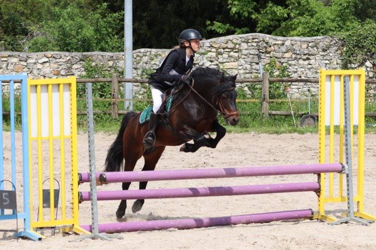 Trewassick Warleggan - Dartmoor 2017 by SHILSTONE ROCKS WARLORD