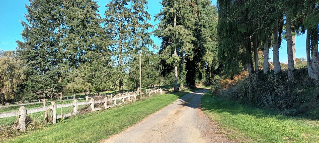 Equestrian property  Orne