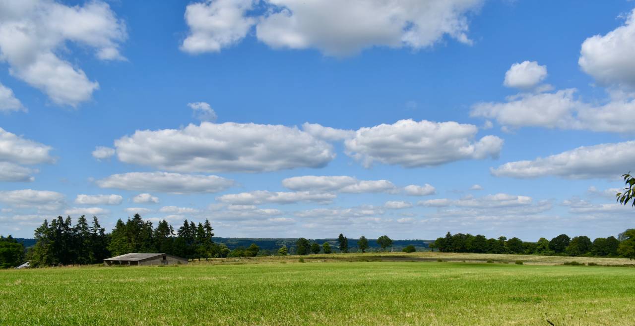 Equestrian property  Orne