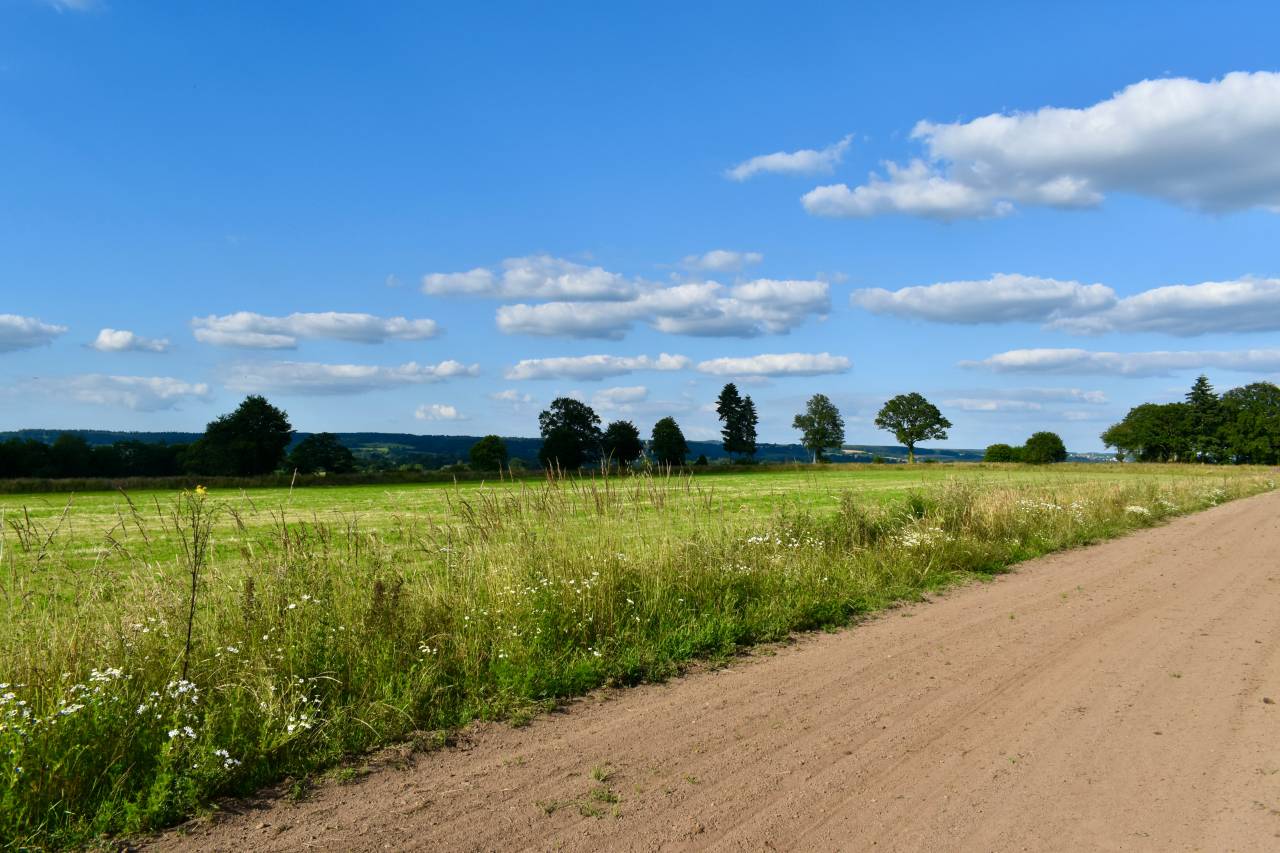 Equestrian property  Orne